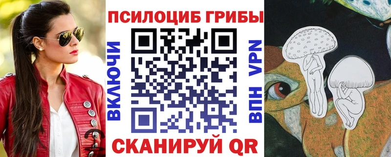 Галлюциногенные грибы Magic Shrooms  Купить где  Галич 